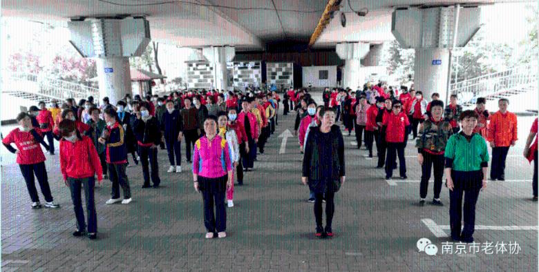 ”见行见效 津彩绽放”活动参赛作品:翰墨传福韵 祥龙迎新春