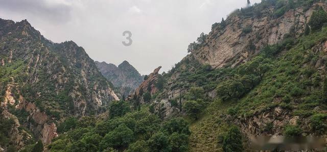 组装机械恐龙3